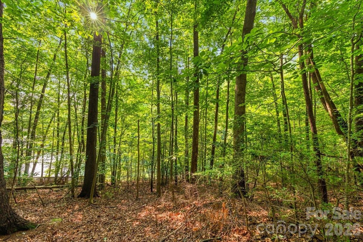 Lot at 178 Lentz Landing Lane, Nebo, photo 16 of 32
