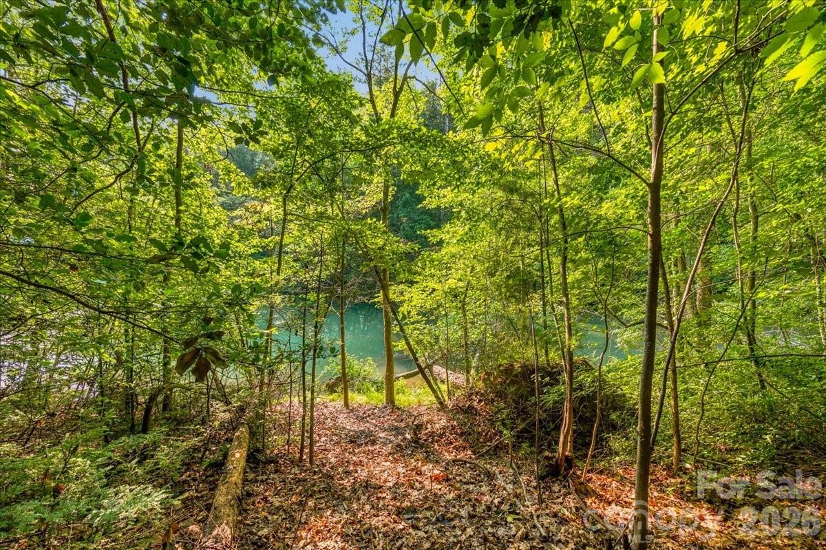 Lot at 178 Lentz Landing Lane, Nebo, photo 17 of 32