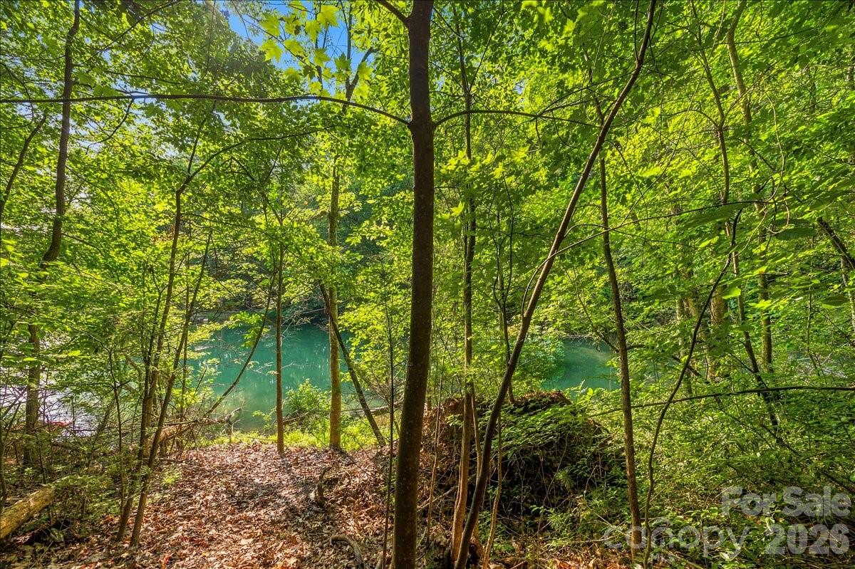 Lot at 178 Lentz Landing Lane, Nebo, photo 18 of 32