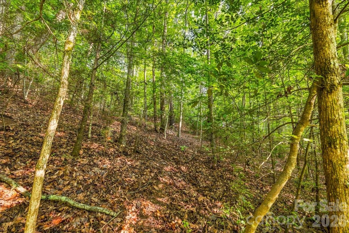 Lot at 178 Lentz Landing Lane, Nebo, photo 24 of 32