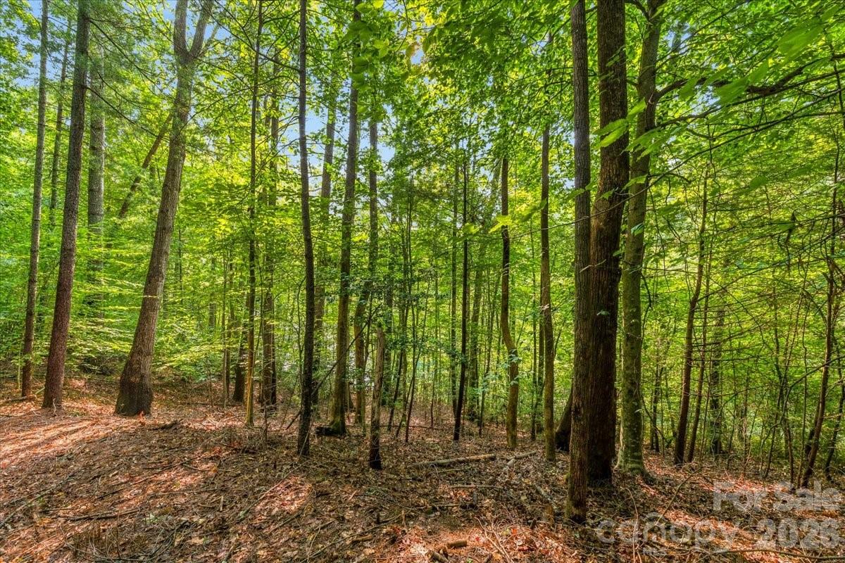 Lot at 178 Lentz Landing Lane, Nebo, photo 25 of 32