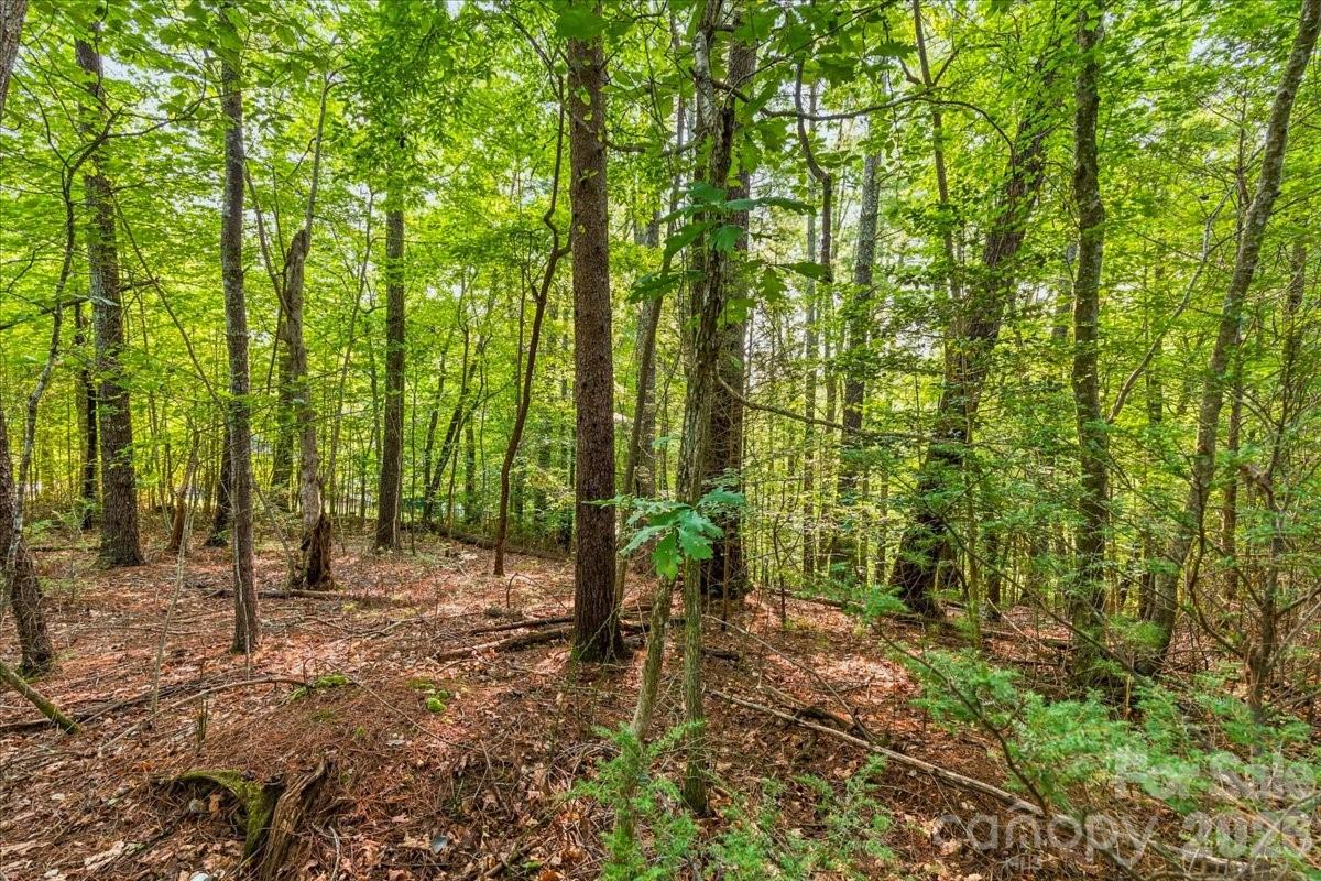 Lot at 178 Lentz Landing Lane, Nebo, photo 26 of 32