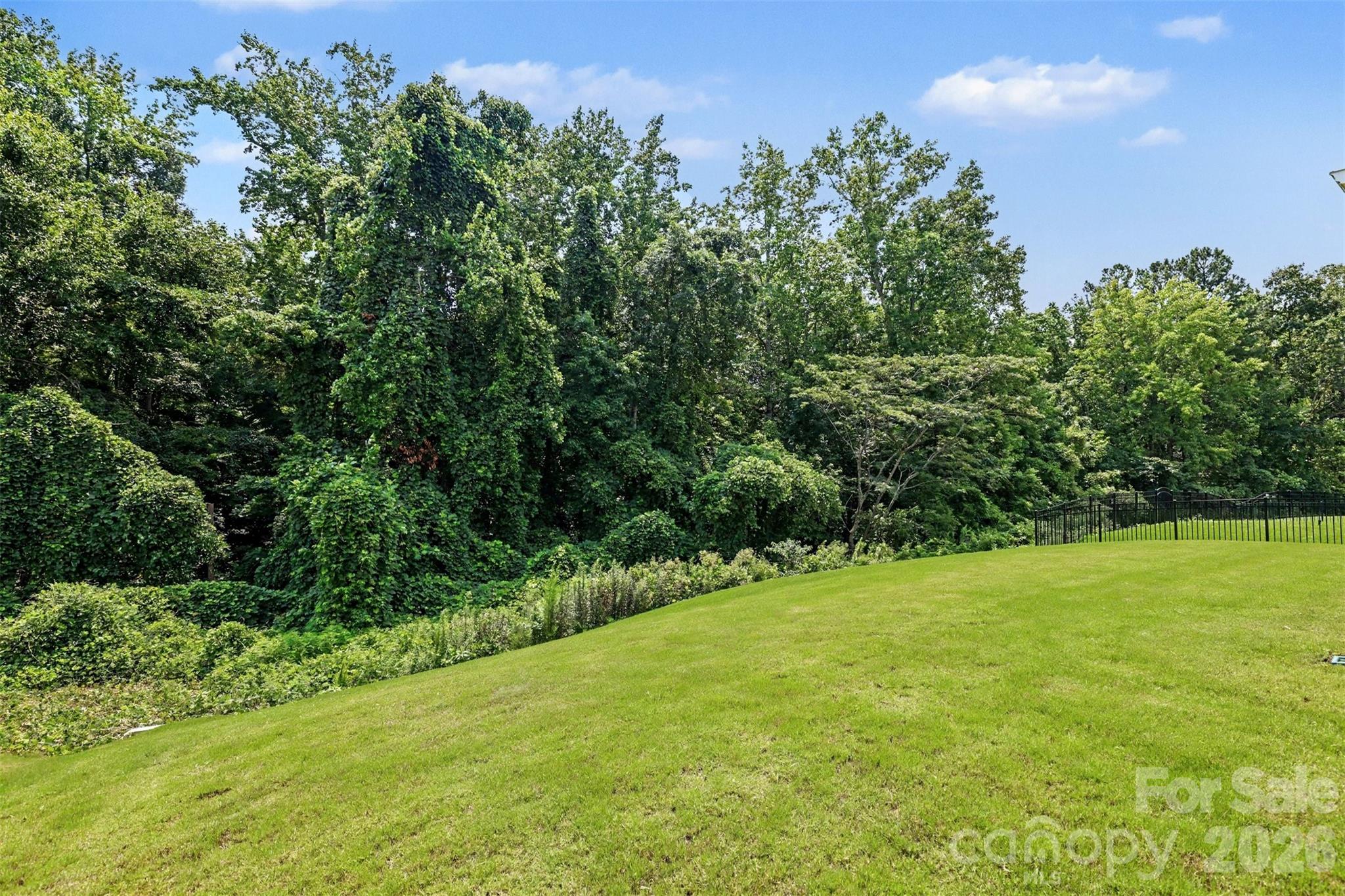 Private Backyard - 2305 Trundle Drive, Gastonia