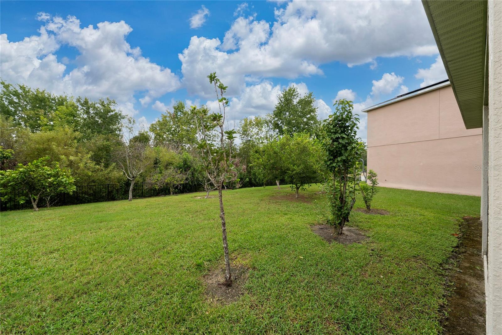 Single Family Residence at 4752 BLUE DIAMOND ST, KISSIMMEE, photo 27 of 46