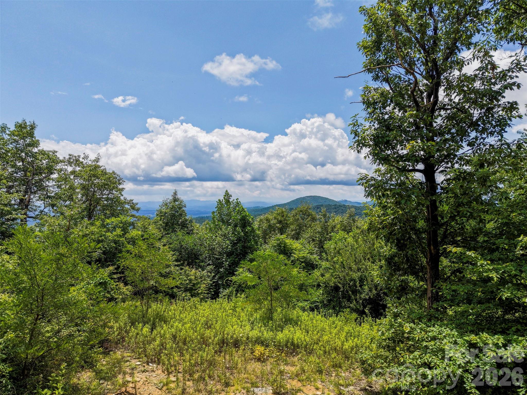 705 Pine Ridge Road