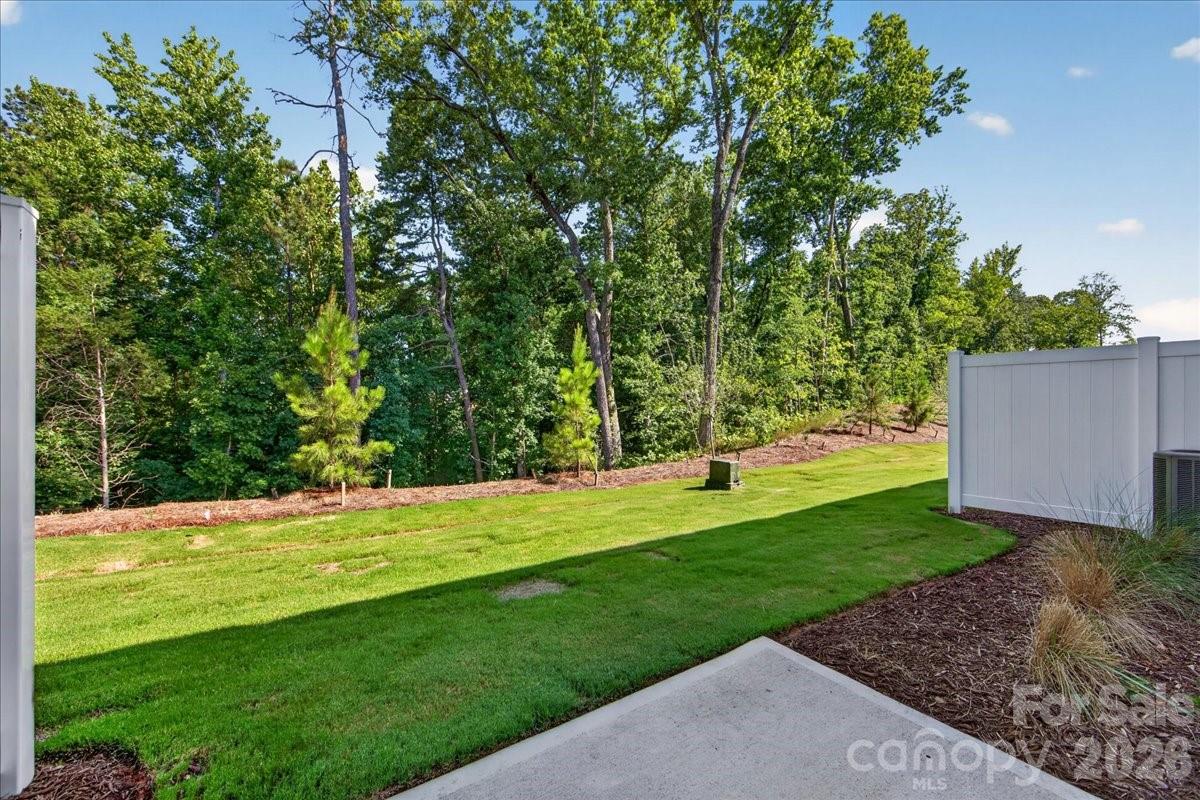 Conceptual - 225 Landy Street, Fort Mill