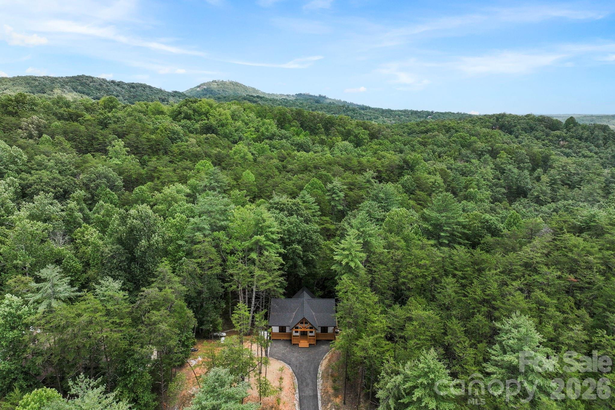 Single Family Residence at 338 Hawks Terrace, Lake Lure, photo 6 of 30