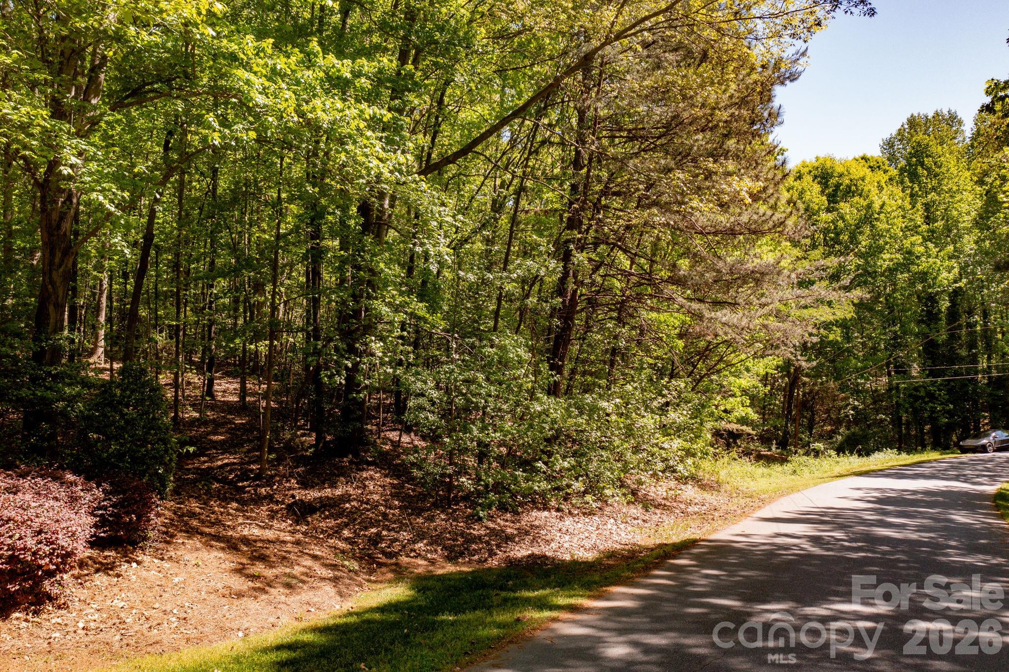 Lot at 4134 Barbrick Street, Sherrills Ford, photo 5 of 21
