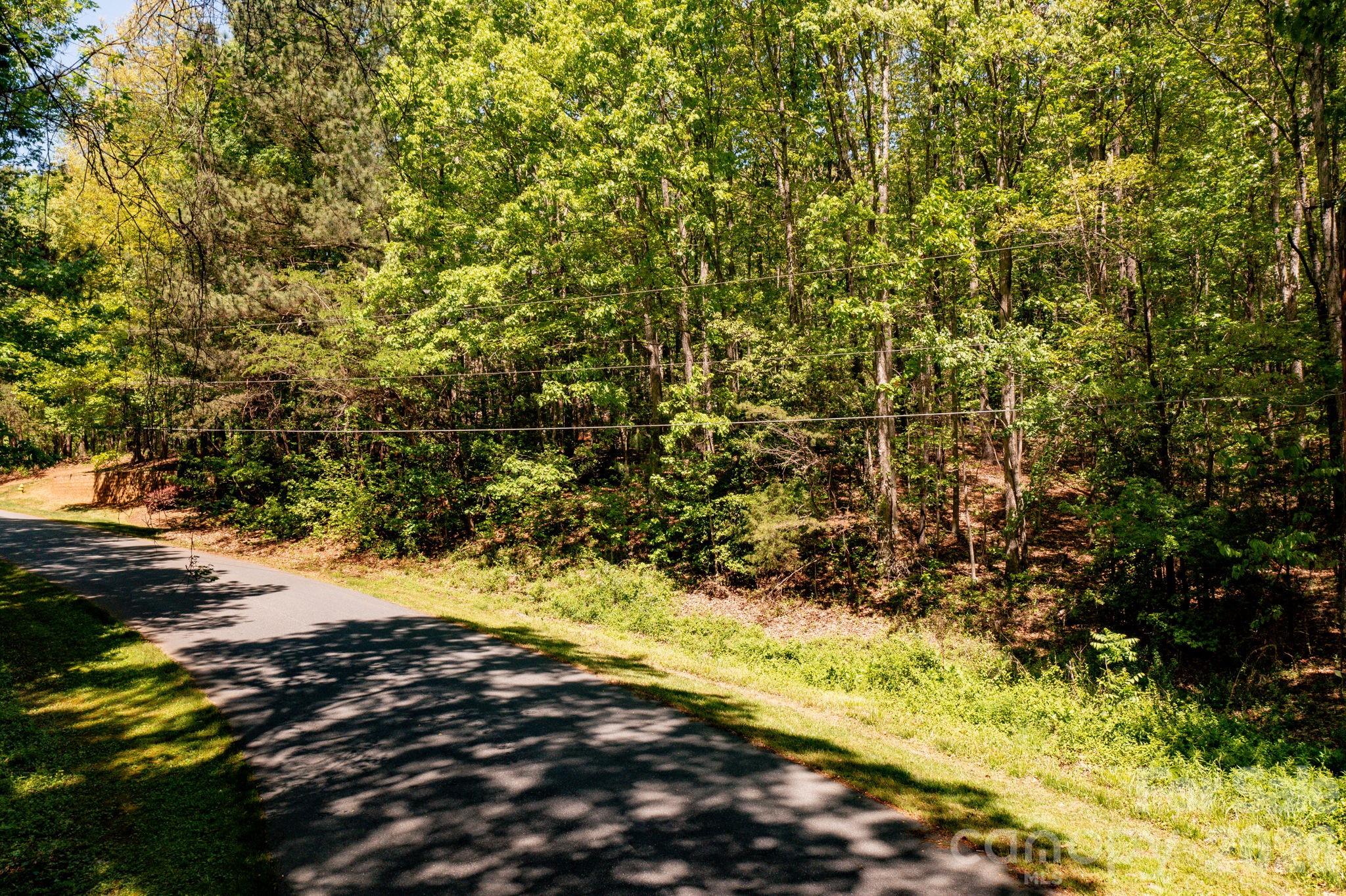 Lot at 4134 Barbrick Street, Sherrills Ford, photo 6 of 21