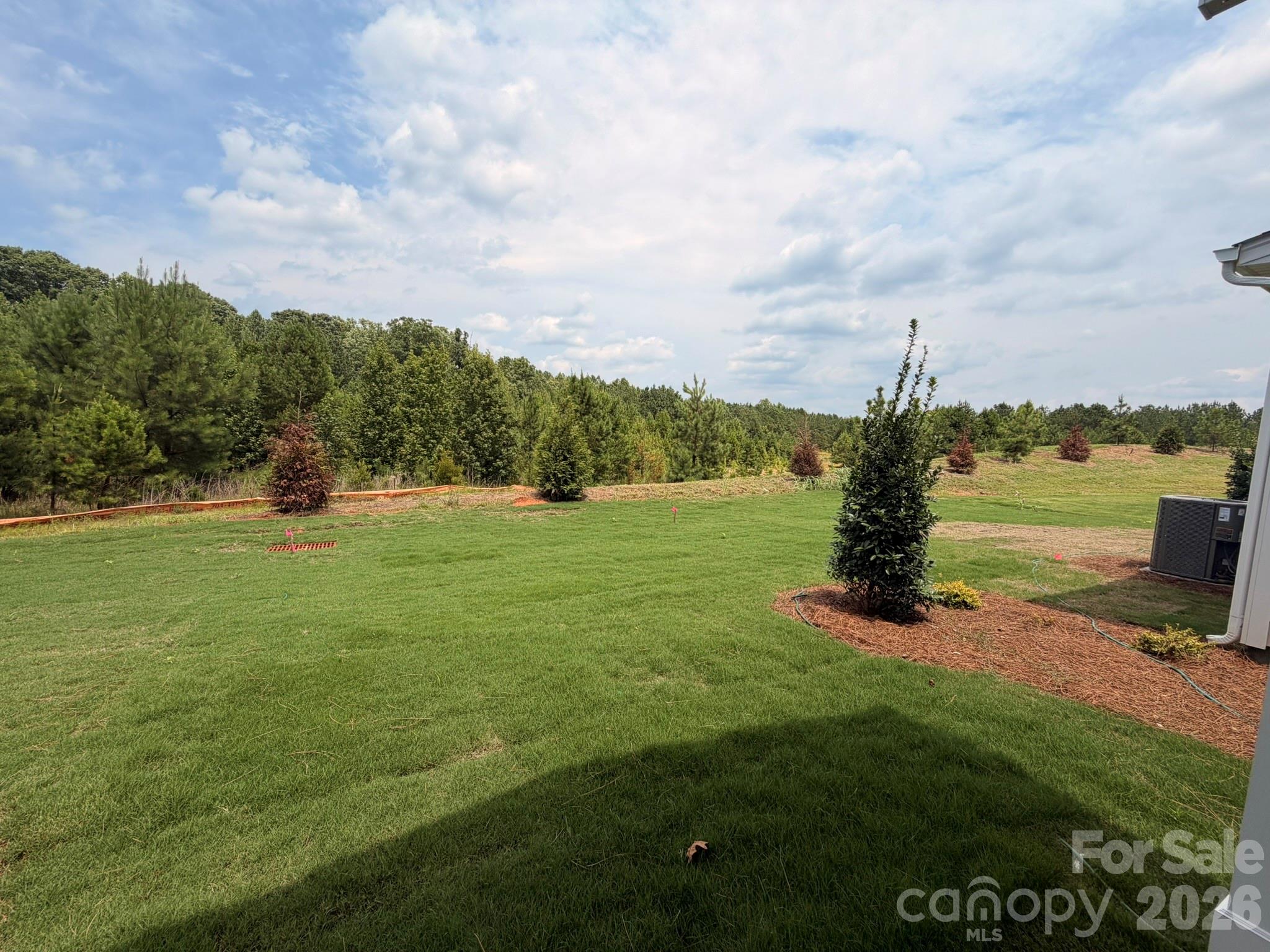 Backyard - 450 Blythe Townhome Lane, Waxhaw