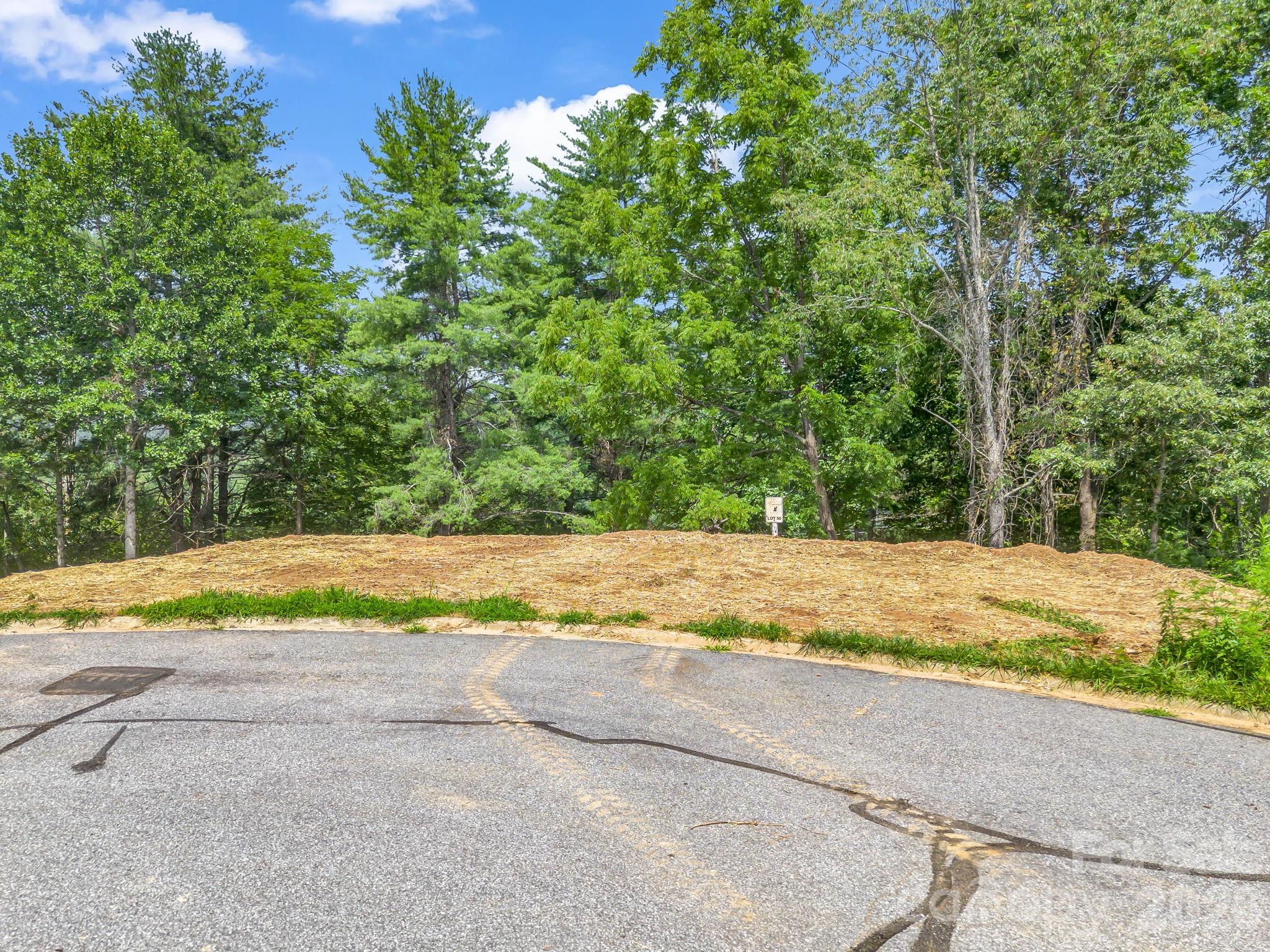 Lot at 50 Erin Glen Court, Fairview, photo 5 of 19