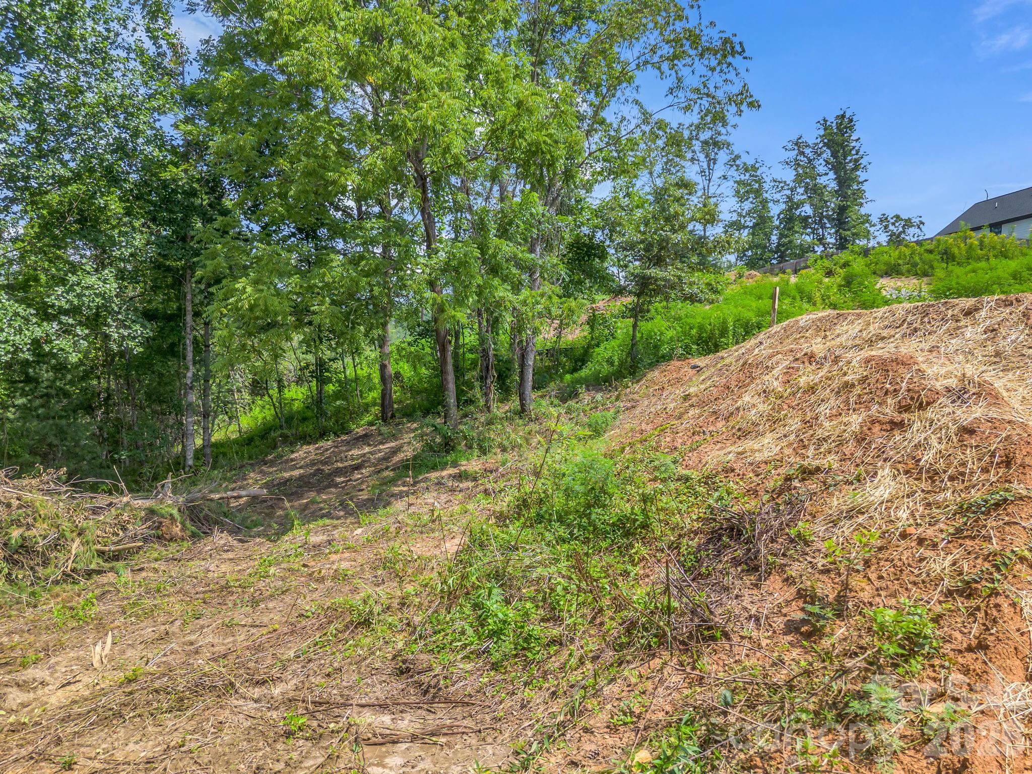 Lot at 50 Erin Glen Court, Fairview, photo 7 of 19