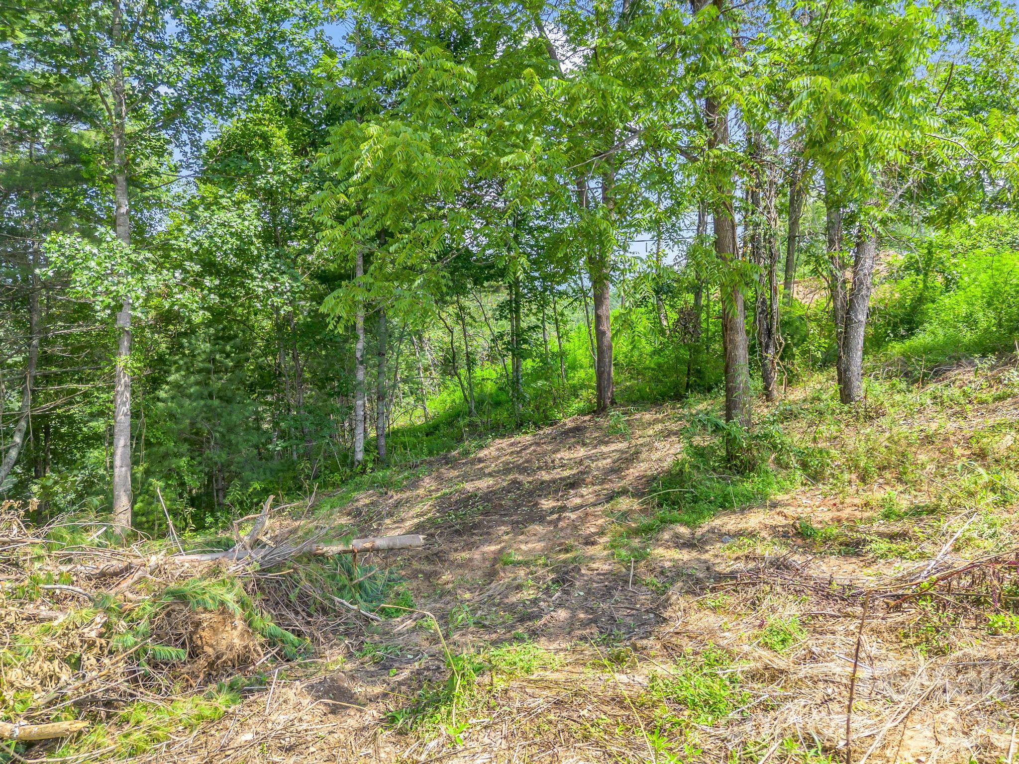 Lot at 50 Erin Glen Court, Fairview, photo 8 of 19