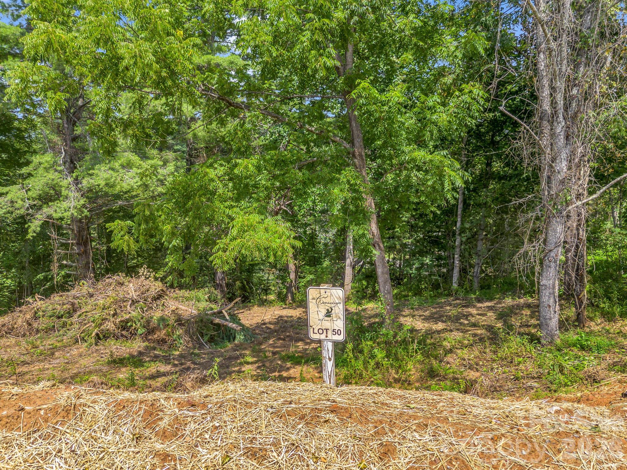 Lot at 50 Erin Glen Court, Fairview, photo 10 of 19