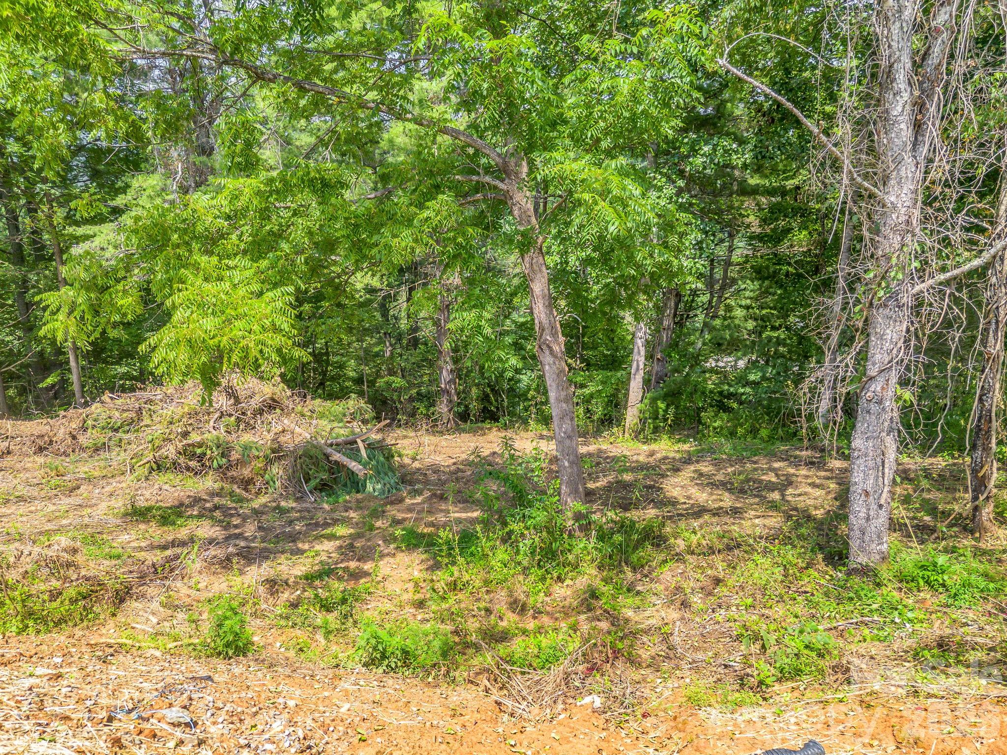 Lot at 50 Erin Glen Court, Fairview, photo 11 of 19