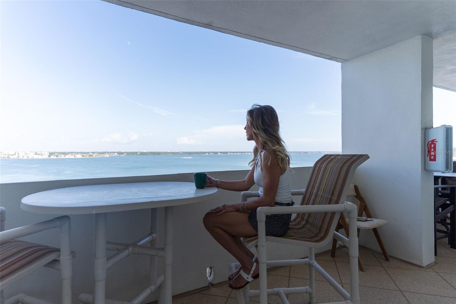 Condominium at 1230 GULF BLVD #1204, CLEARWATER, photo 45 of 45