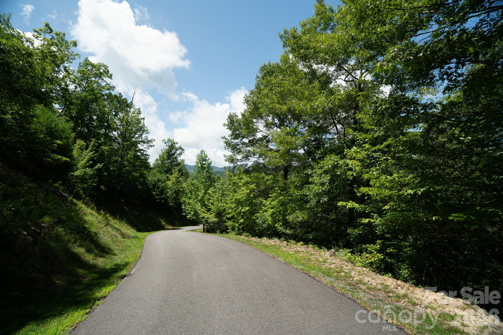 Lot at 230 White Rapid Road, Marshall, photo 2 of 23