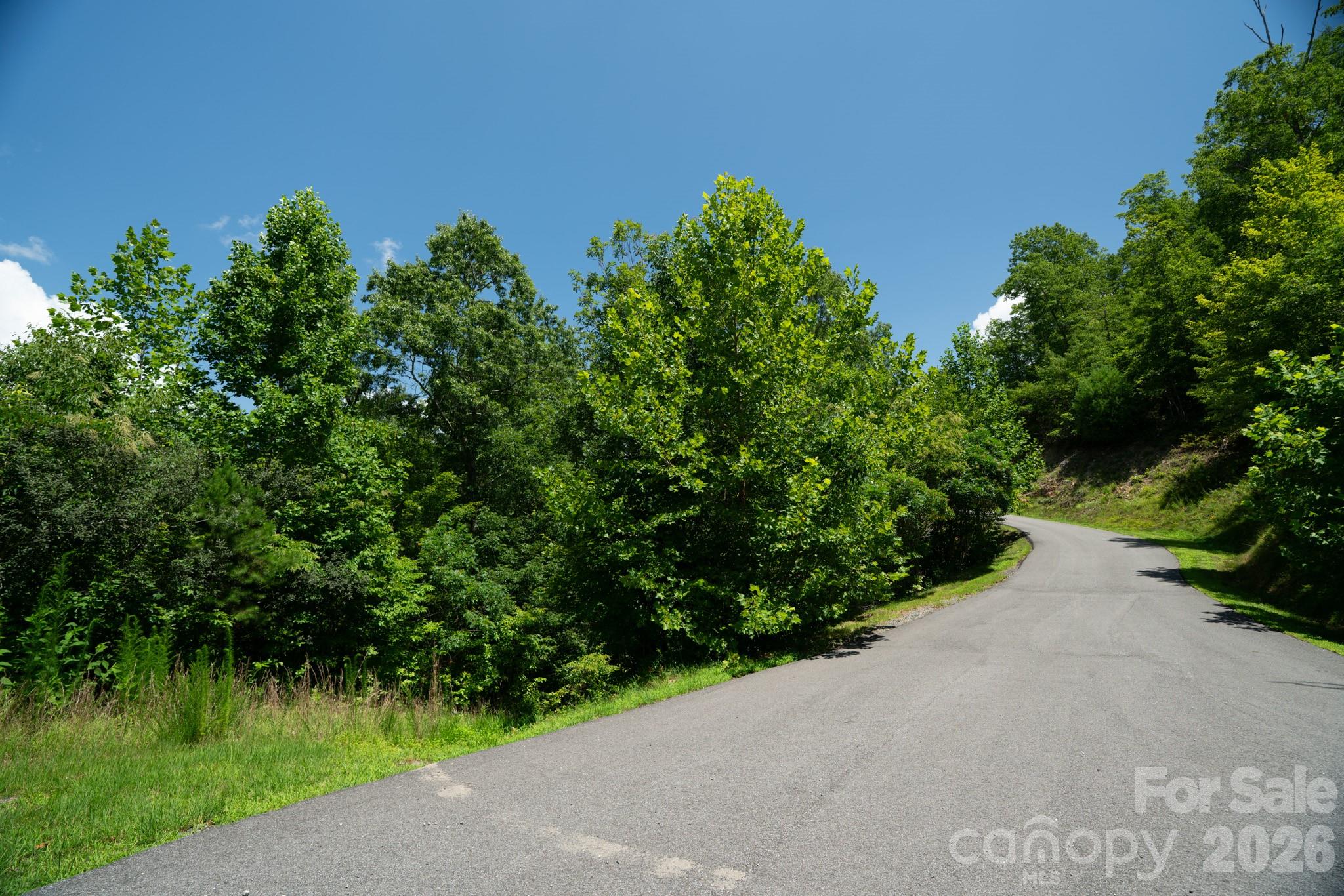 Lot at 230 White Rapid Road, Marshall, photo 3 of 23