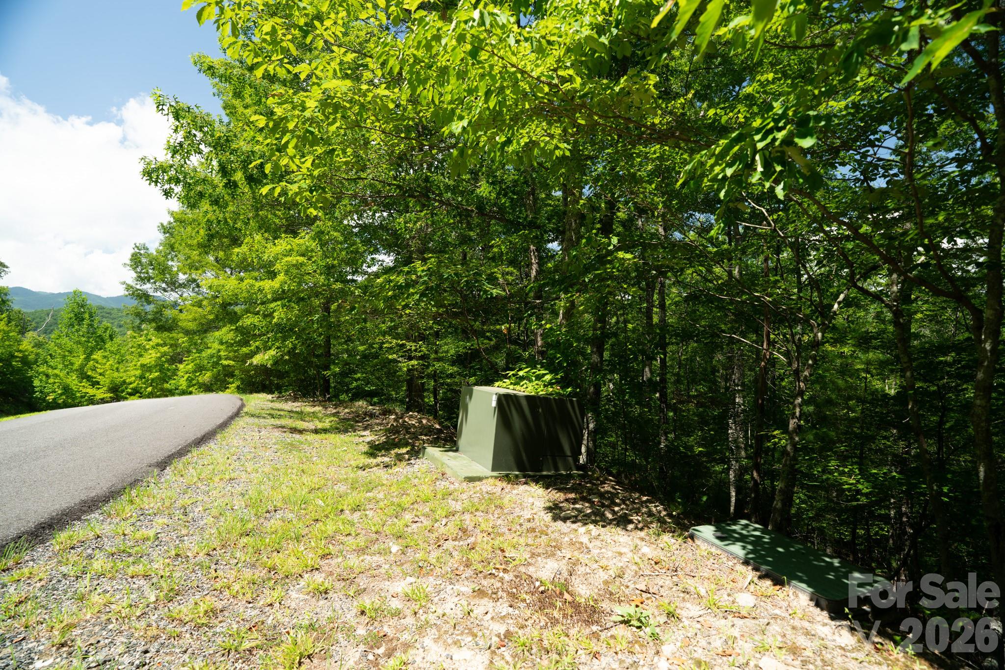Lot at 230 White Rapid Road, Marshall, photo 5 of 23