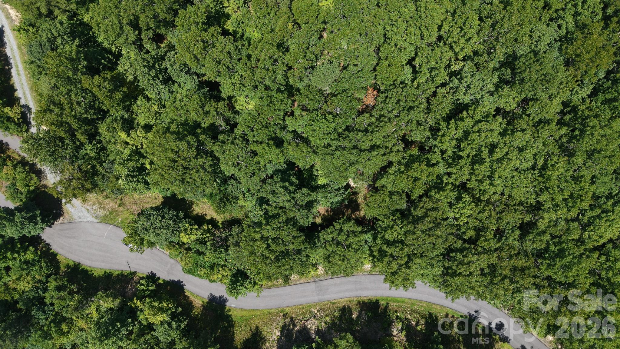Lot at 230 White Rapid Road, Marshall, photo 6 of 23
