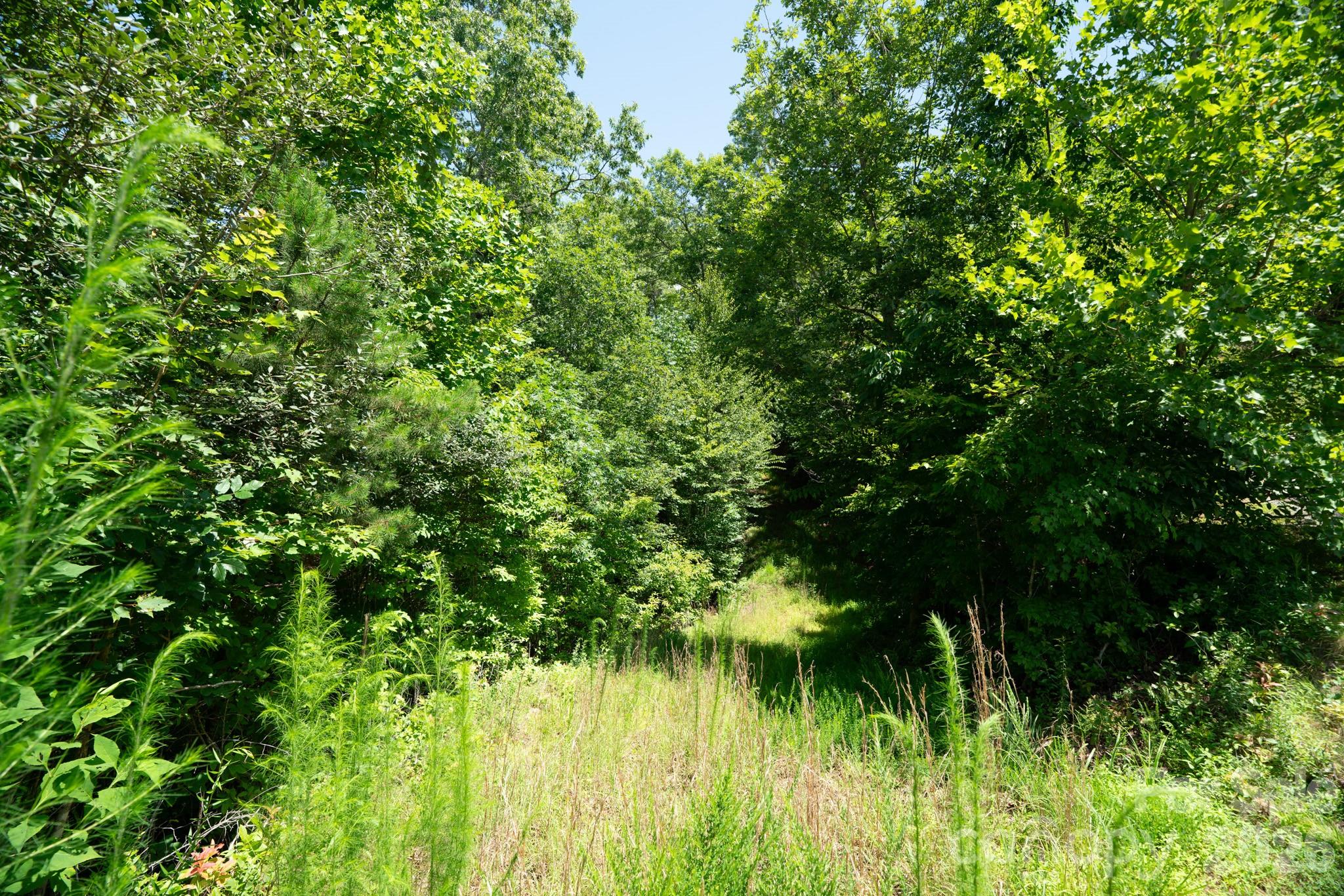 Lot at 230 White Rapid Road, Marshall, photo 8 of 23