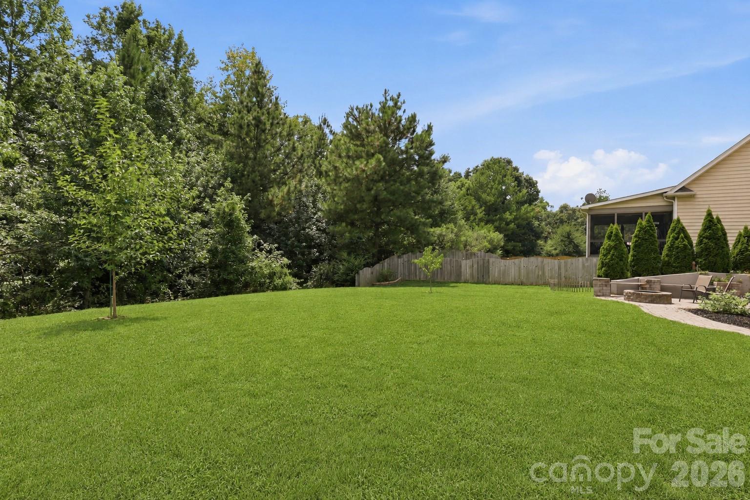 Grass is virtually altered. - 5098 Cressingham Drive, Fort Mill