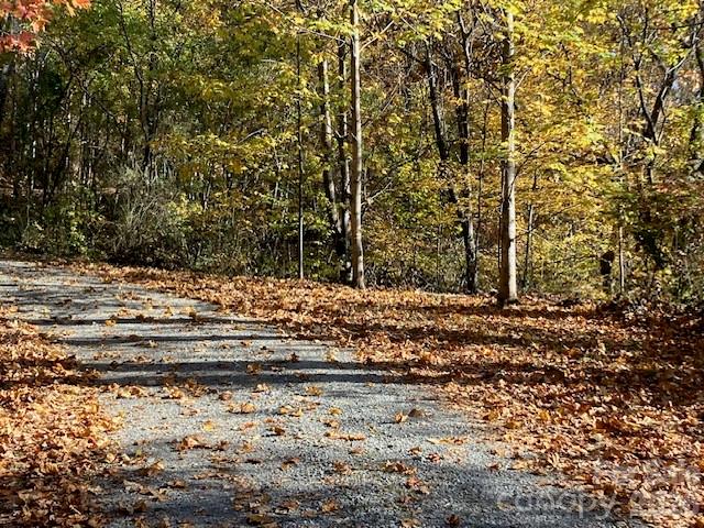 Lot at 00 Wahwah Way, Waynesville, photo 2 of 9