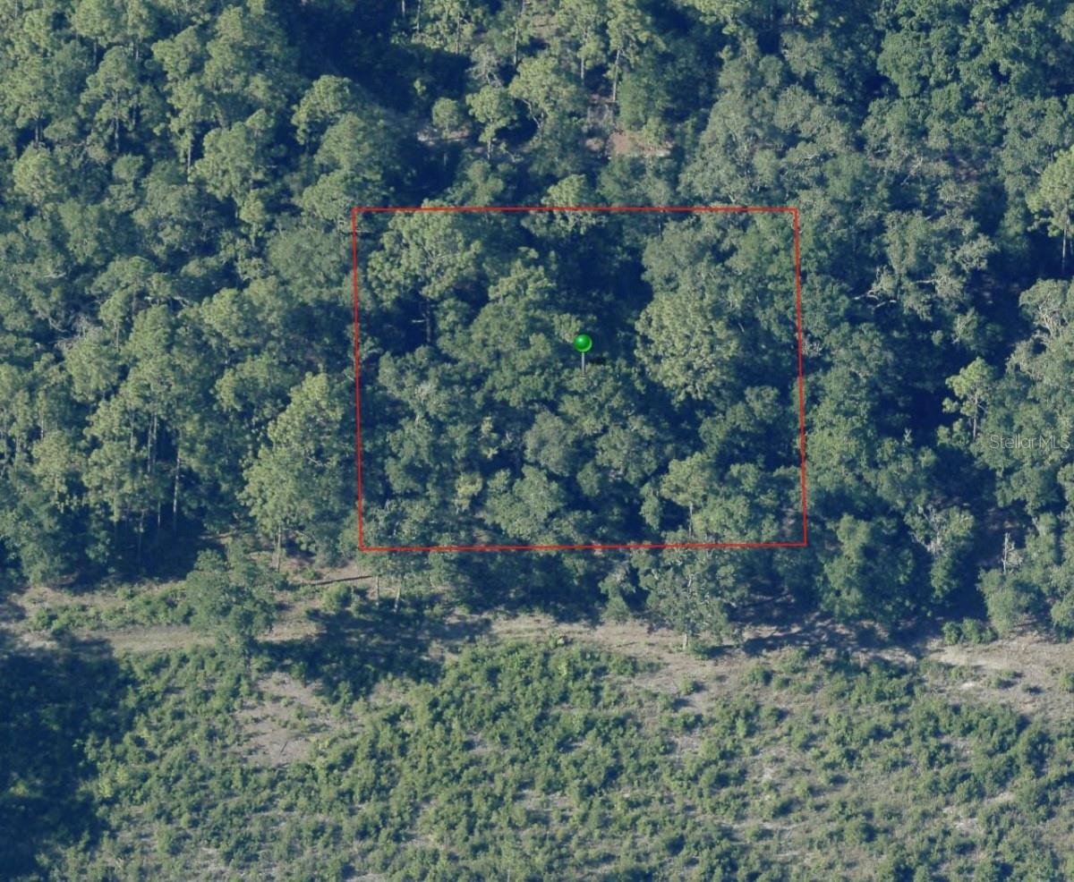 Land at 7065 W RAINBOW ST, DUNNELLON, photo 4 of 5