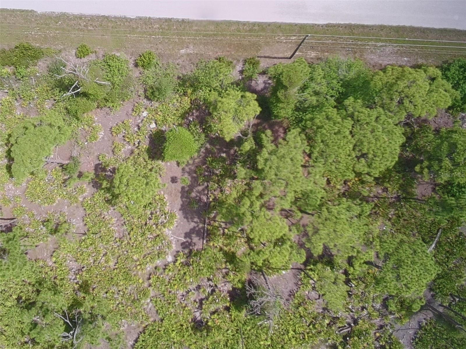 Land at 14200 NAYLOR AVE, PORT CHARLOTTE, photo 2 of 4