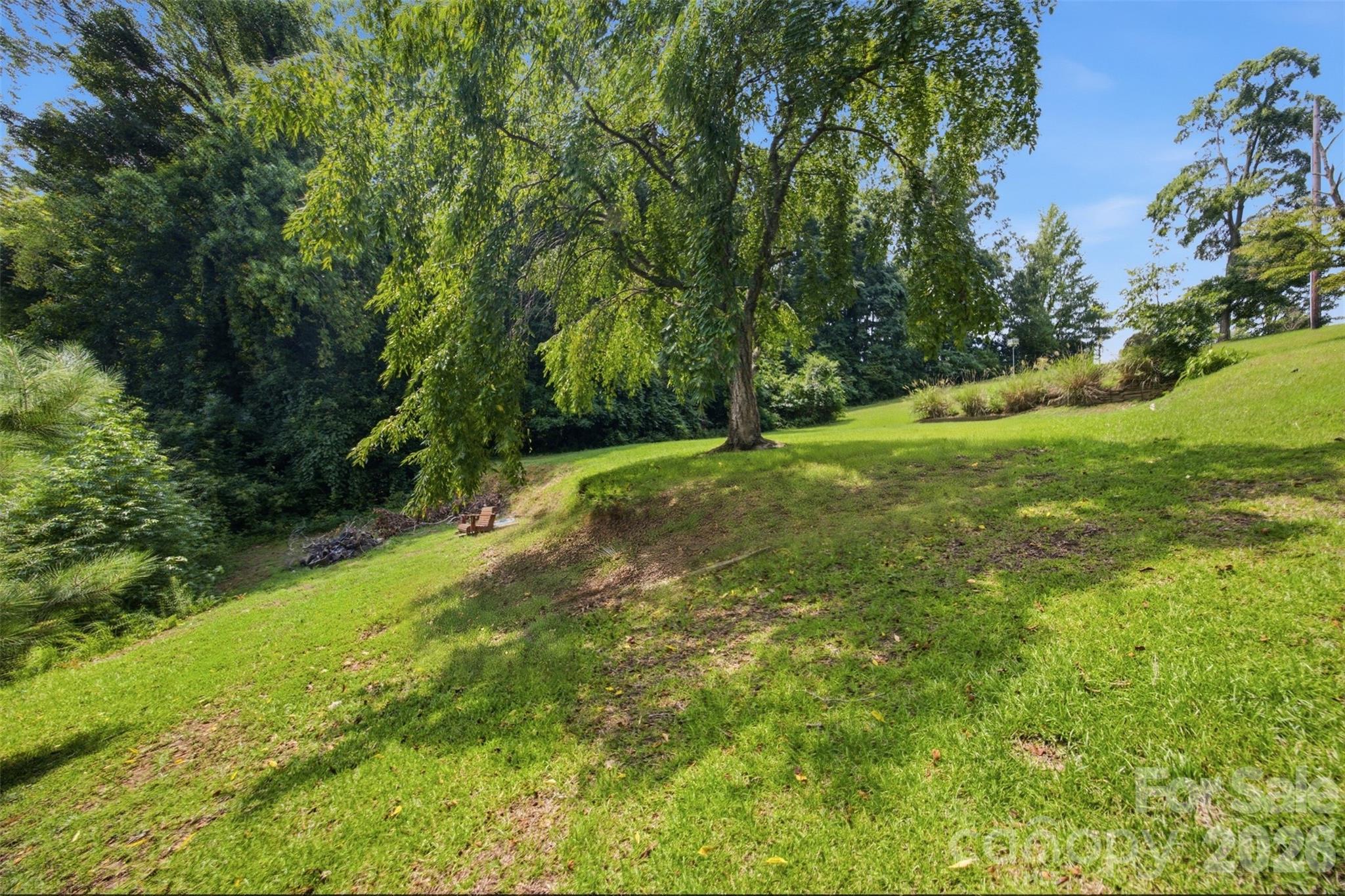 Right side of Yard and Weeping Cherry. - 146 Duck Cove Road, Belmont