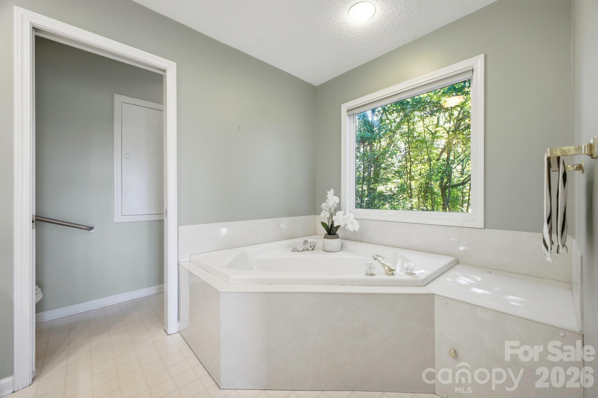 Jetted Soaking Tub in Primary Bath - 1870 Riverview Court, Hendersonville