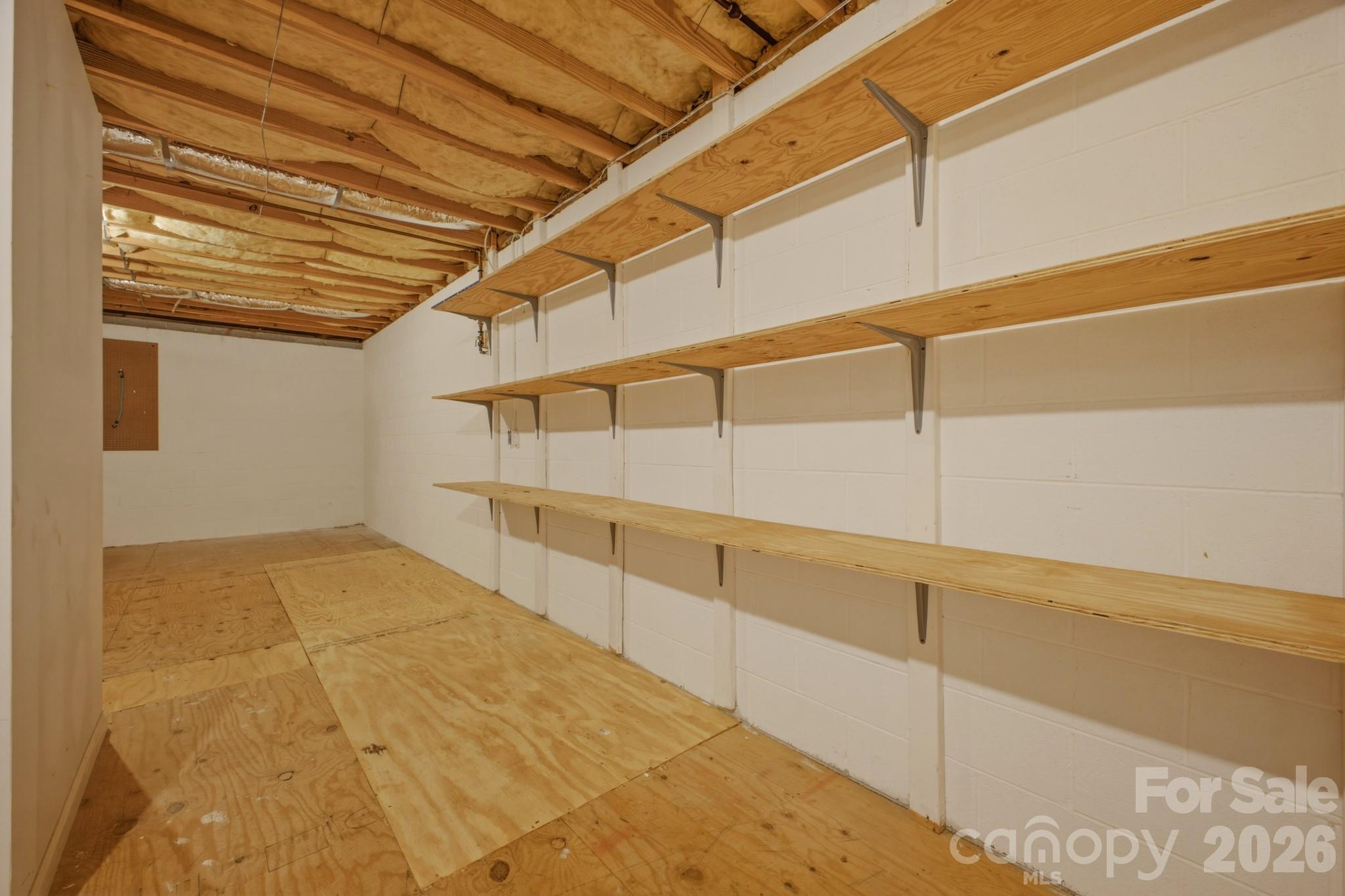 Large Storage area in the Lower Level - 1870 Riverview Court, Hendersonville