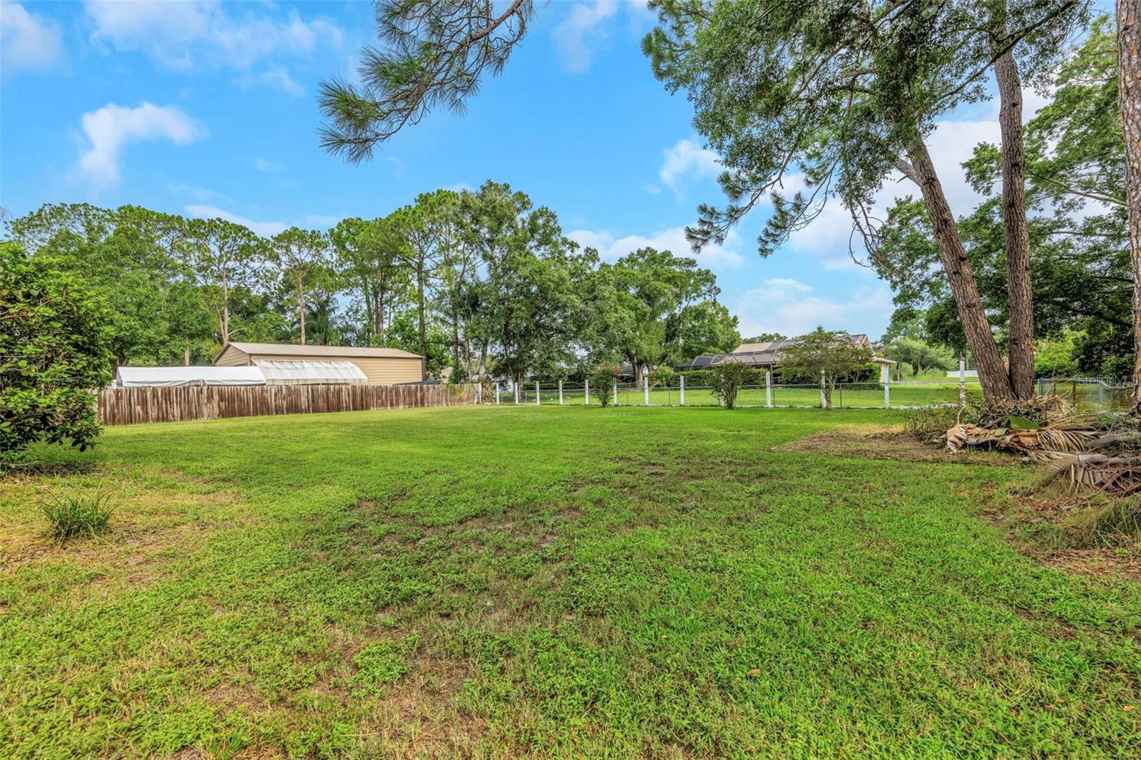 Back Yard - 9237 AMAZON DR, NEW PORT RICHEY