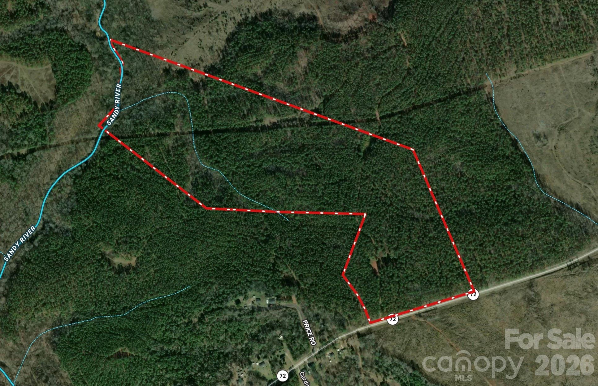 Large hunting and recreational tract in Chester SC - 0000 Hwy 72 Highway, Carlisle