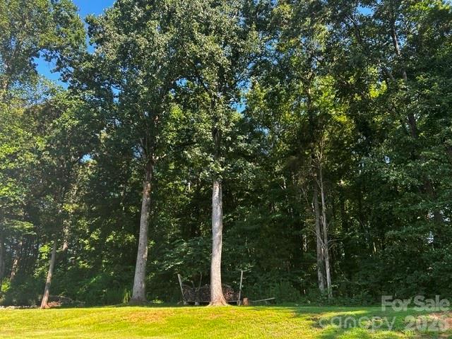 Back Yard 4 - 15109 Ockeechobee Court, Mint Hill