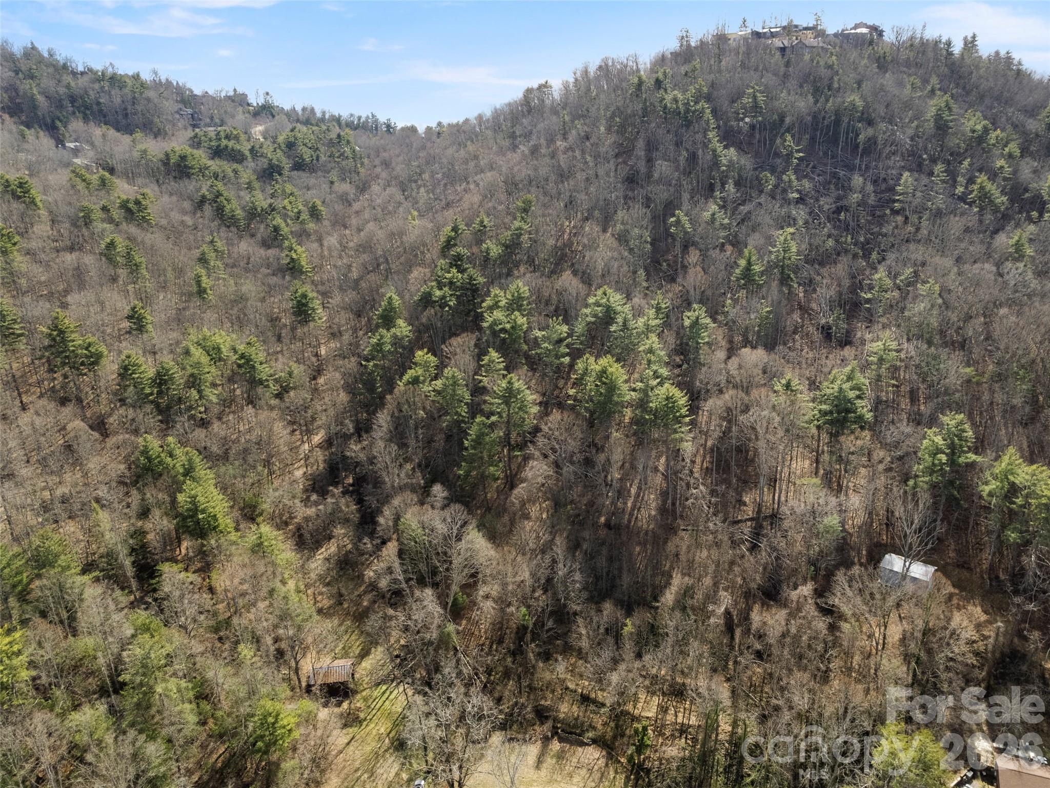 Acreage at 401 Baird Cove Road, Asheville, photo 2 of 11