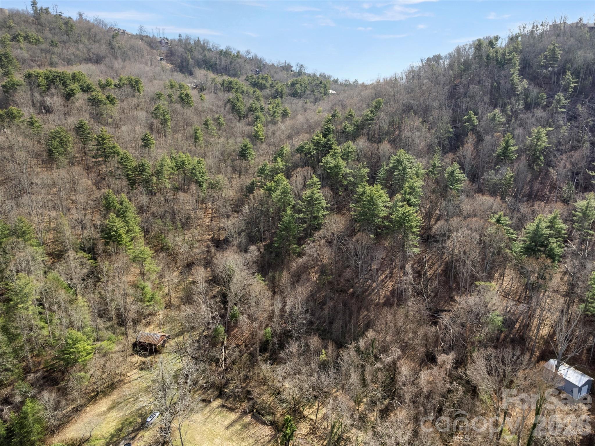 Acreage at 401 Baird Cove Road, Asheville, photo 4 of 11