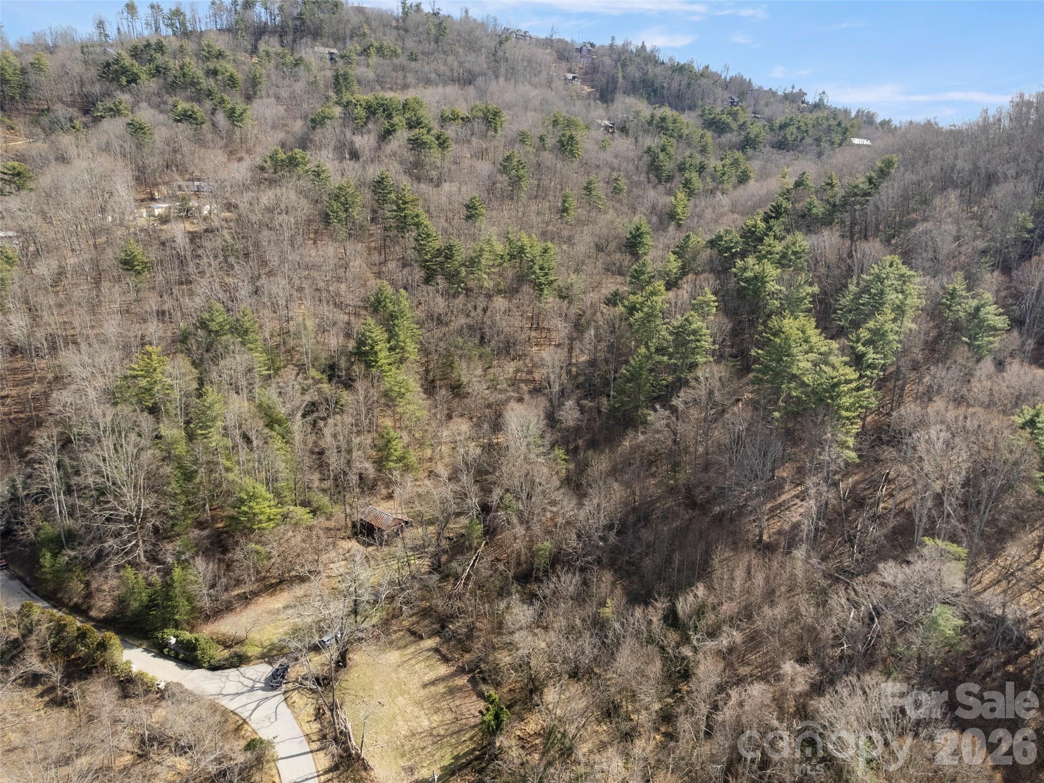 Acreage at 401 Baird Cove Road, Asheville, photo 5 of 11