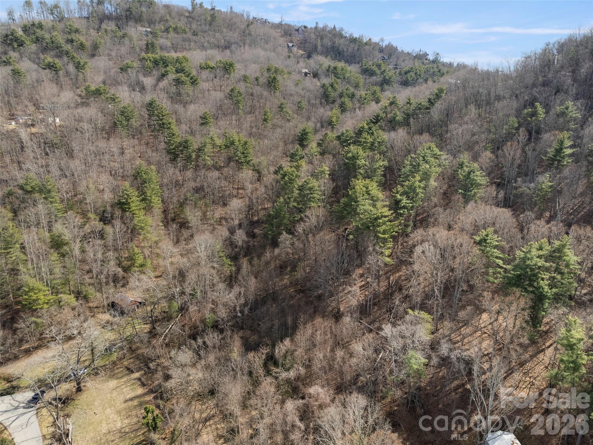 Acreage at 401 Baird Cove Road, Asheville, photo 6 of 11