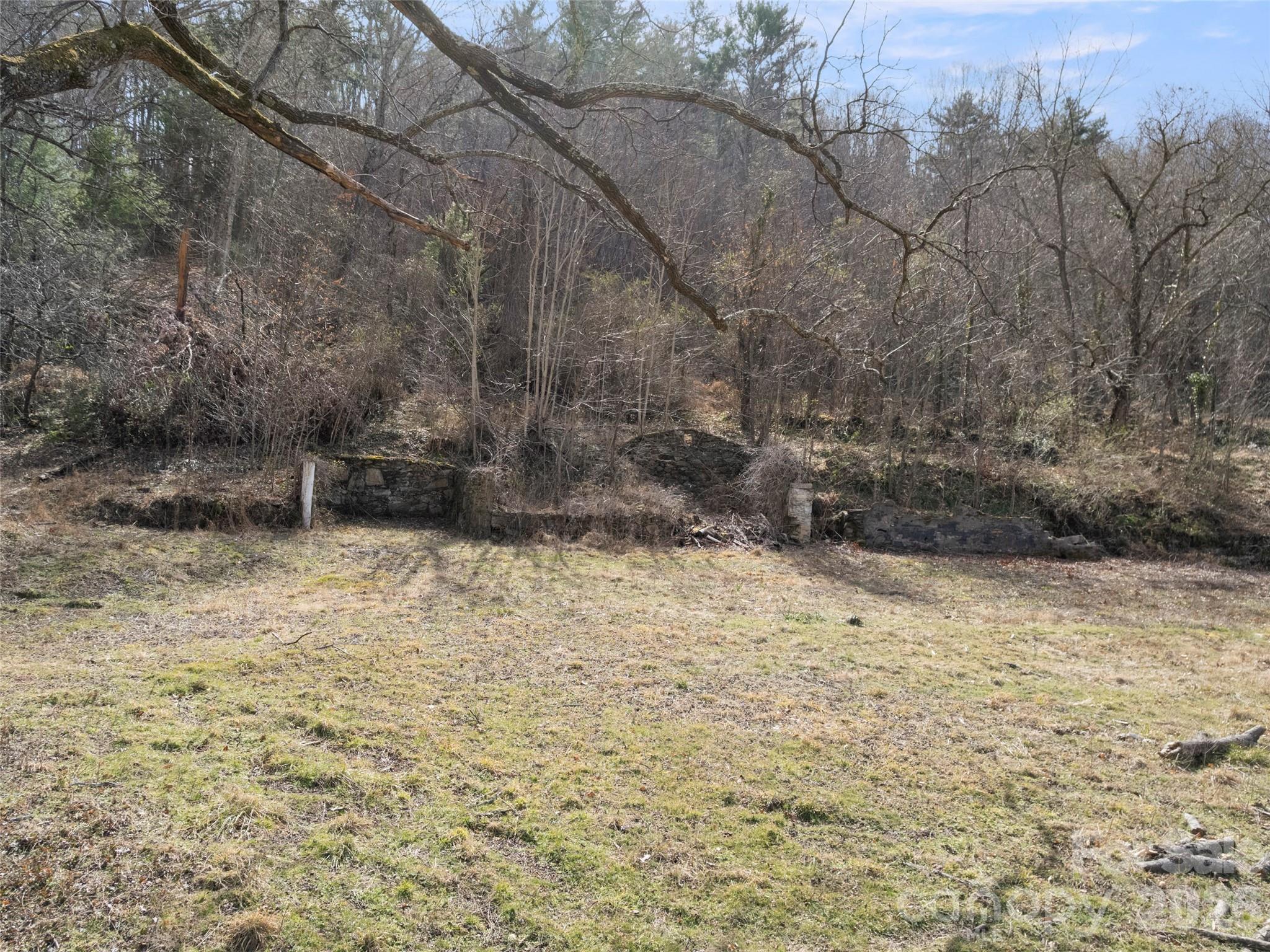 Acreage at 401 Baird Cove Road, Asheville, photo 3 of 11