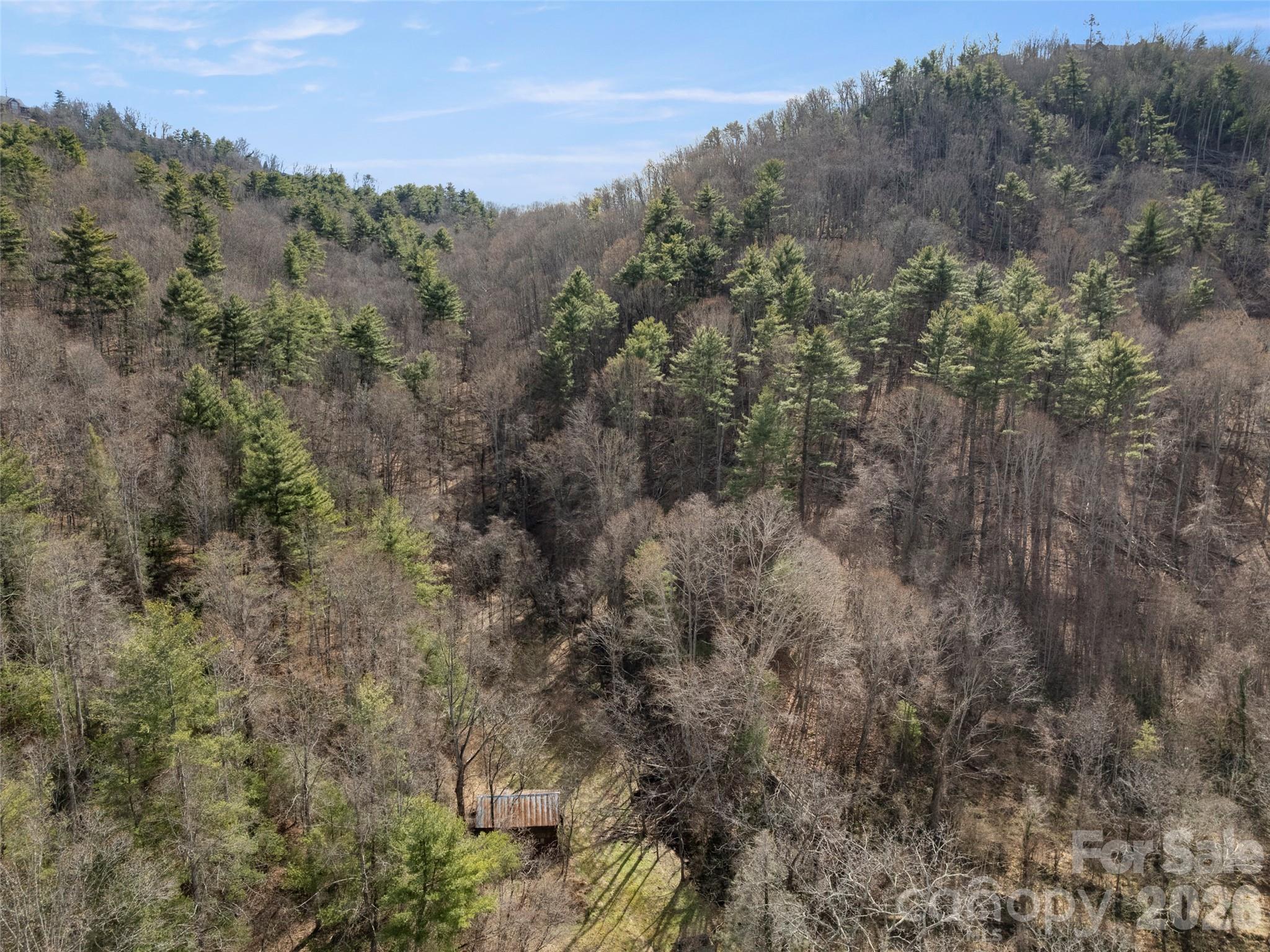 Acreage at 401 Baird Cove Road, Asheville, photo 10 of 11