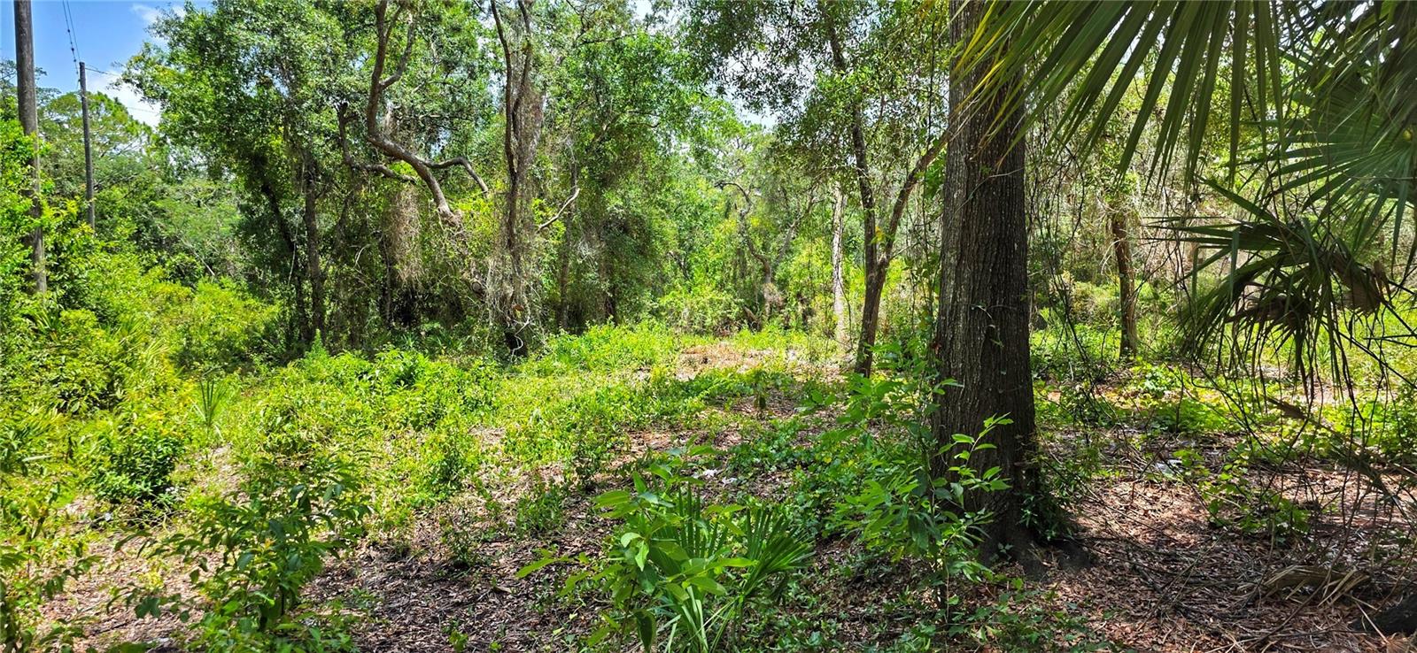 Land at 02-25-16-0000-00300-0042 STATE ROAD 52, HUDSON, photo 11 of 11