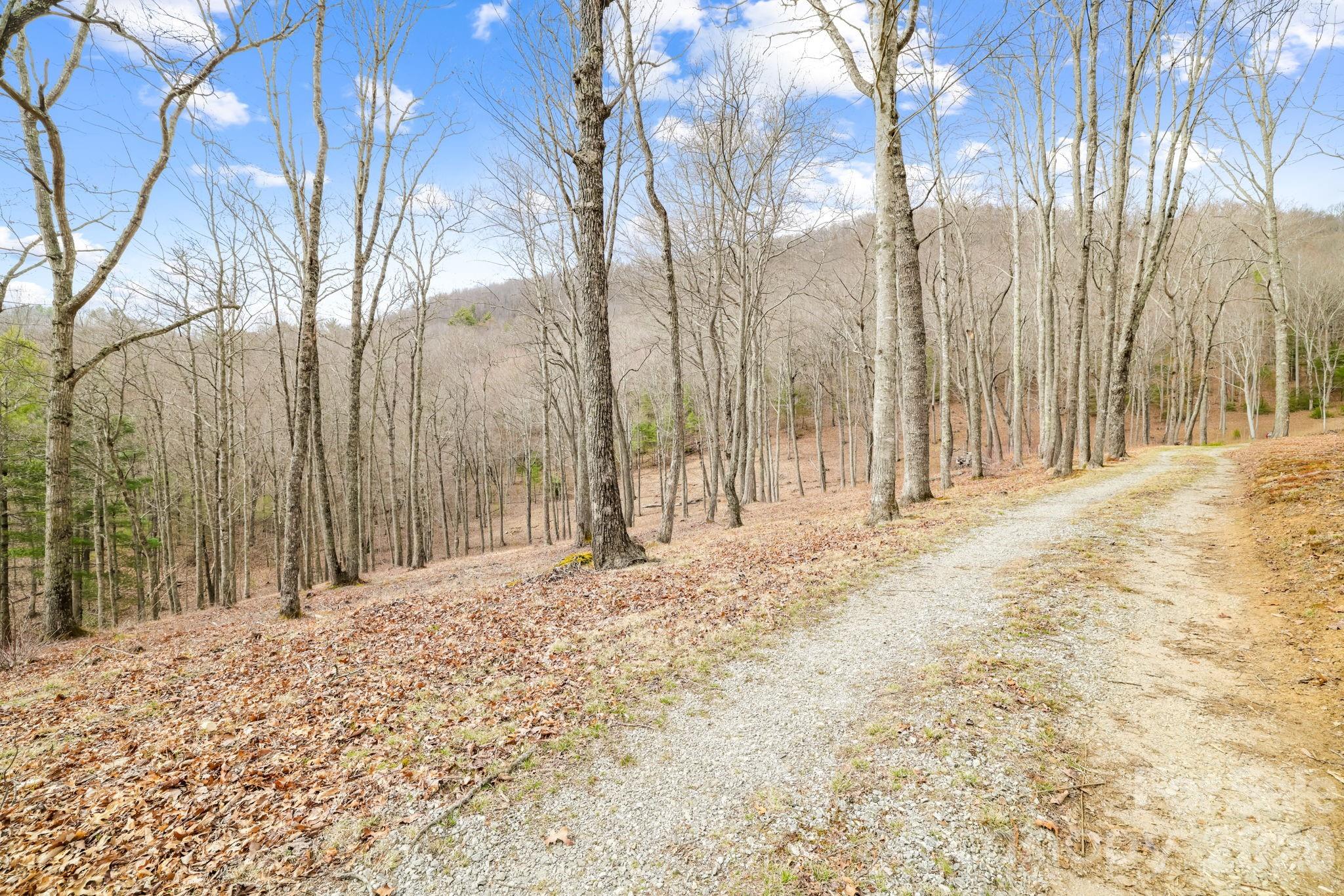 Acreage at 527 North Robinson Creek Road, Glenville, photo 3 of 29