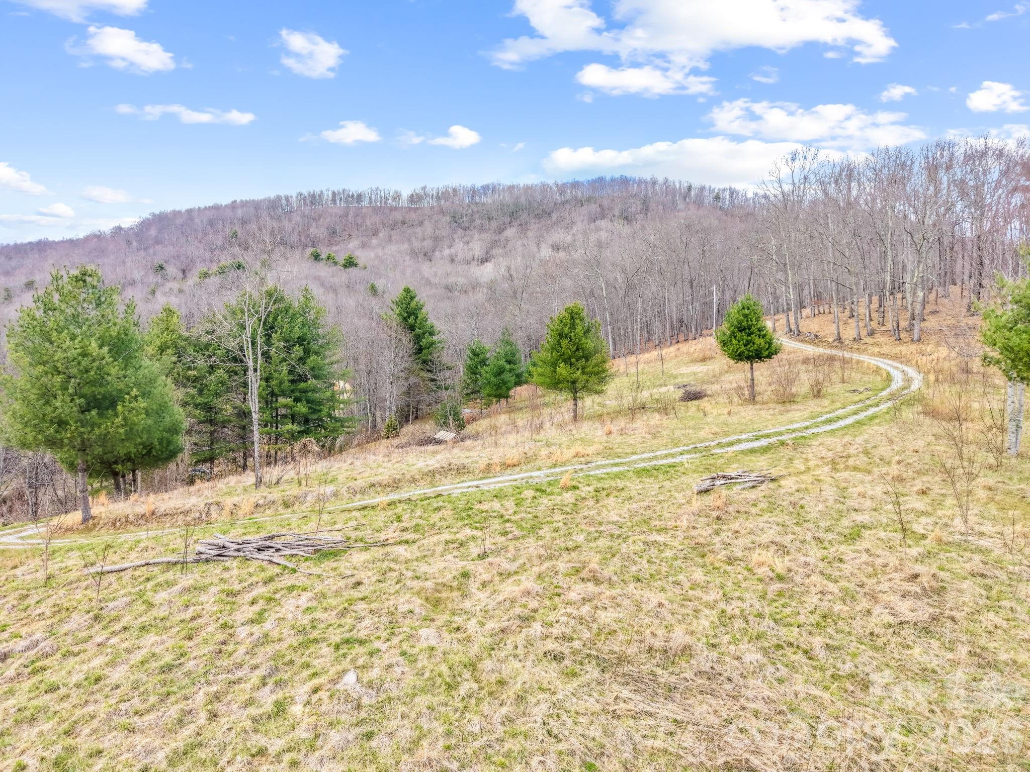 Acreage at 527 North Robinson Creek Road, Glenville, photo 4 of 29