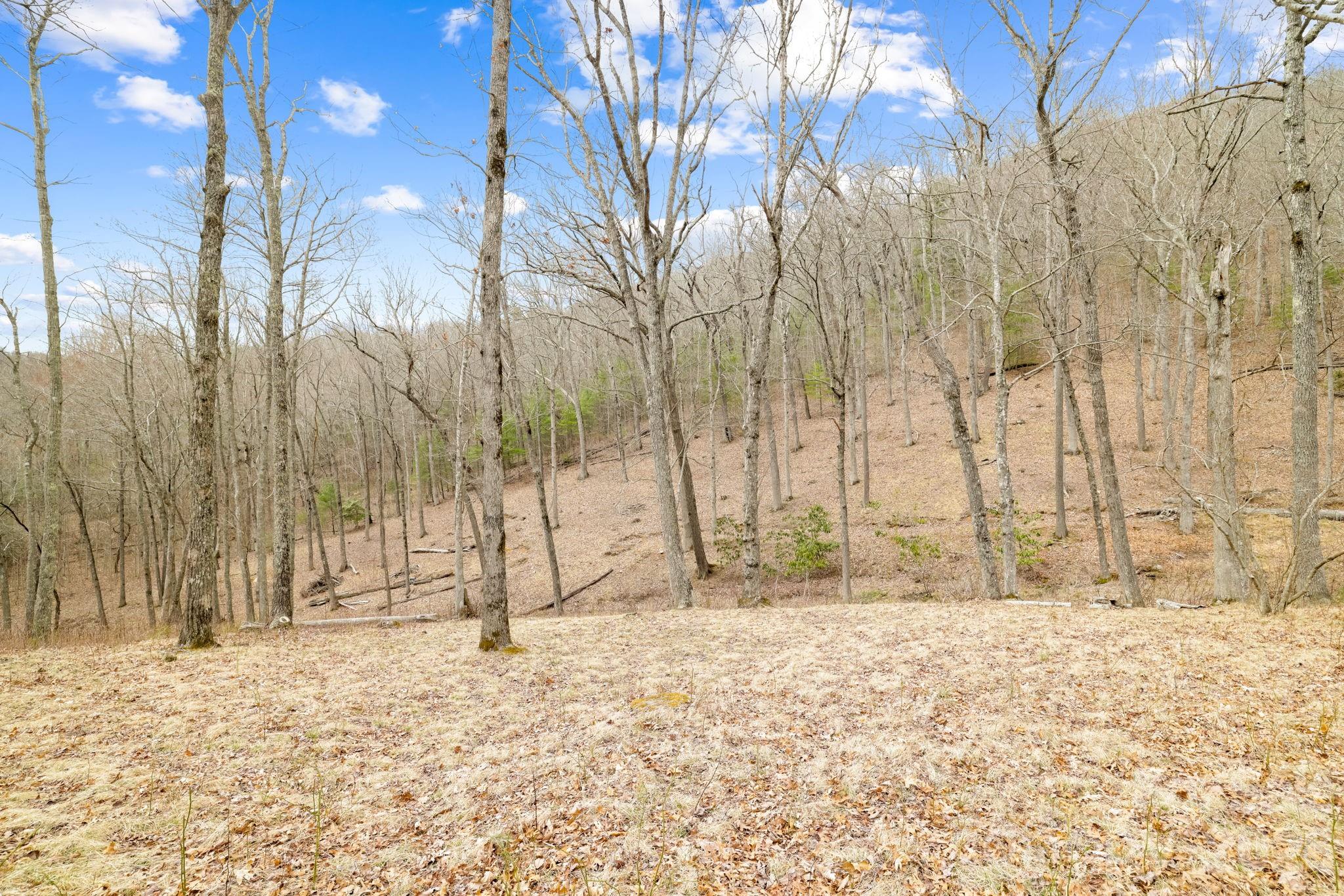 Acreage at 527 North Robinson Creek Road, Glenville, photo 5 of 29
