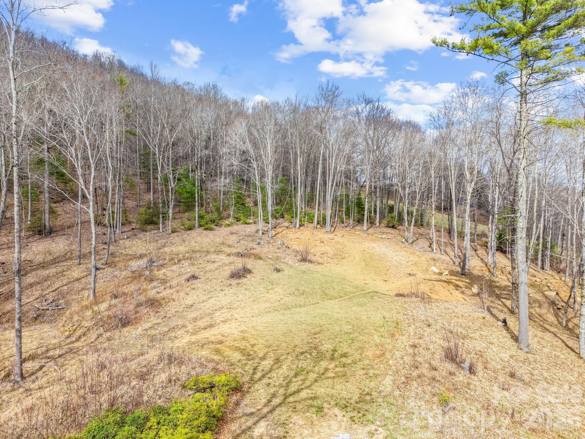 Acreage at 527 North Robinson Creek Road, Glenville, photo 7 of 29