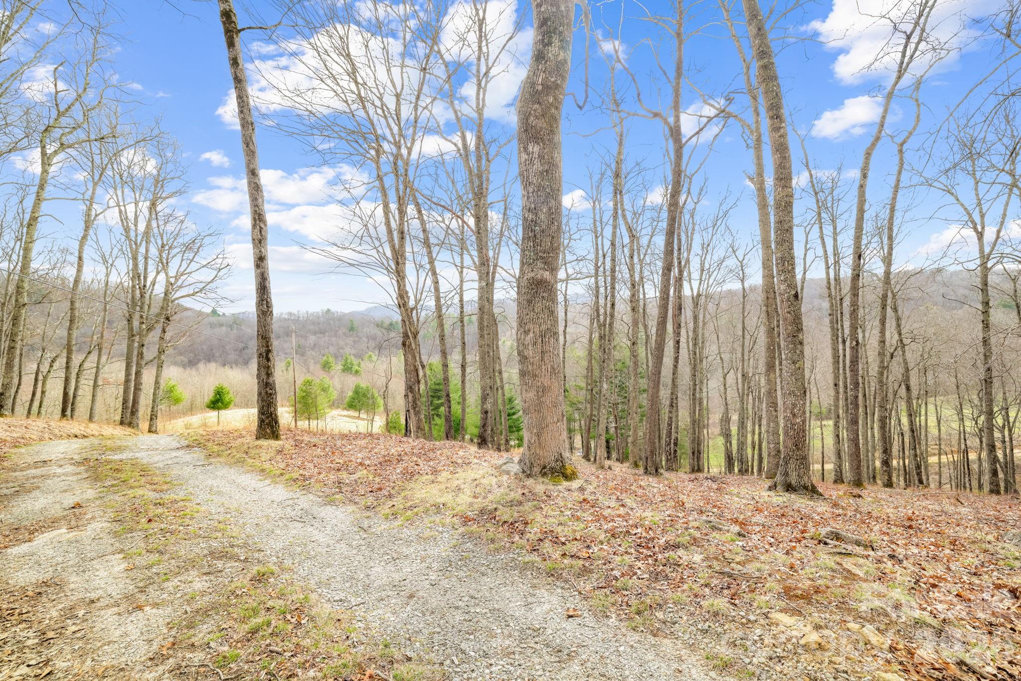 Acreage at 527 North Robinson Creek Road, Glenville, photo 15 of 29