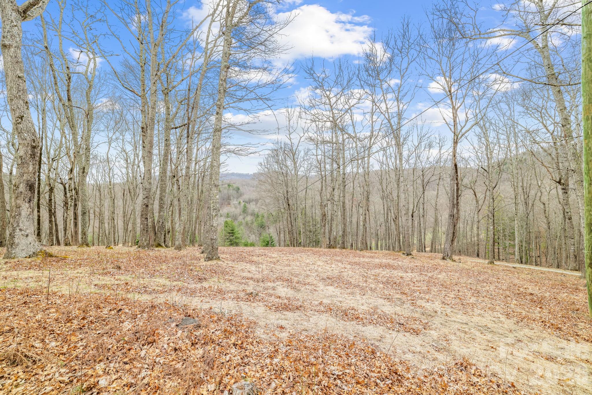 Acreage at 527 North Robinson Creek Road, Glenville, photo 20 of 29