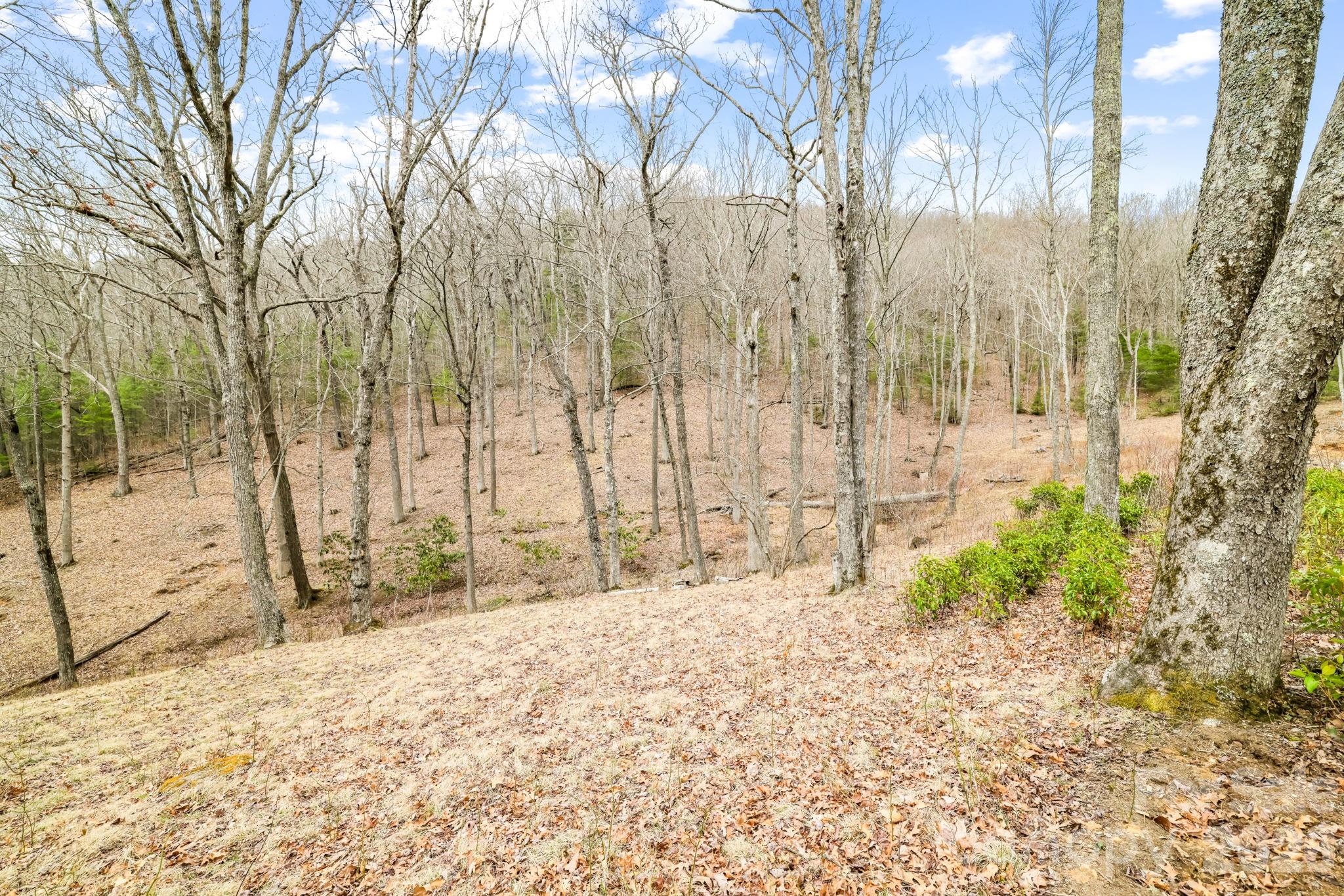 Acreage at 527 North Robinson Creek Road, Glenville, photo 27 of 29