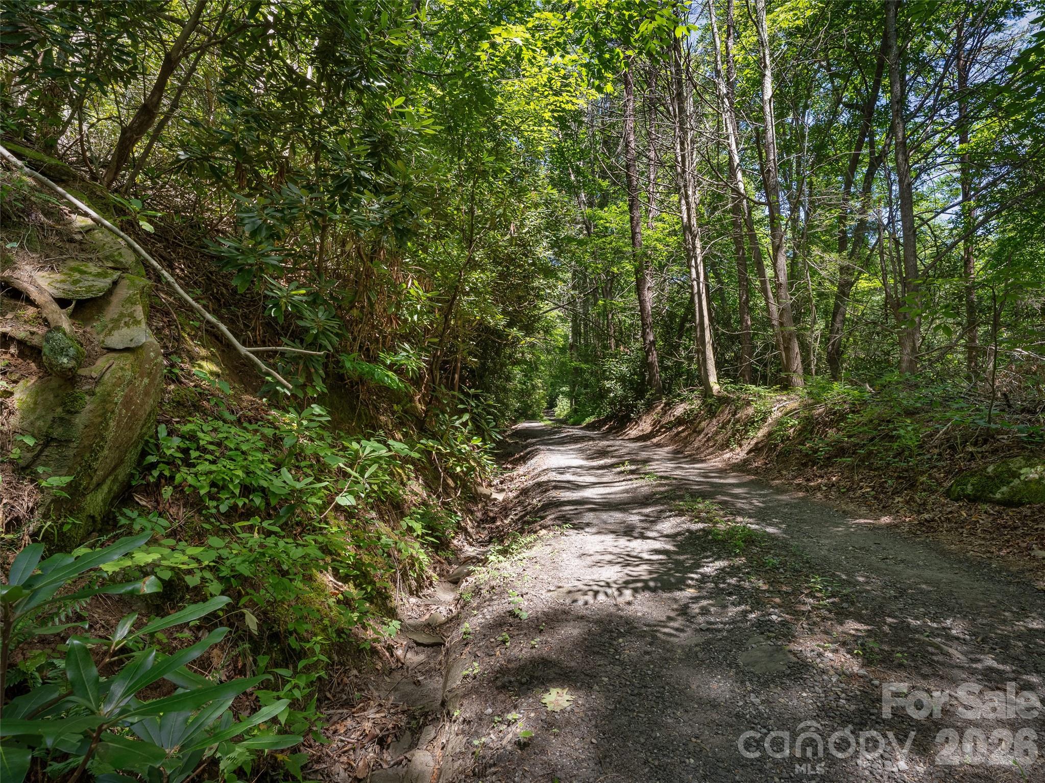 Acreage at 23.53 Acres Ballard Creek Road, Fairview, photo 5 of 18
